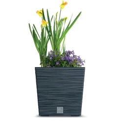 Donica ogrodowa Furu Square Low 24 x 24 cm PROSPERPLAST