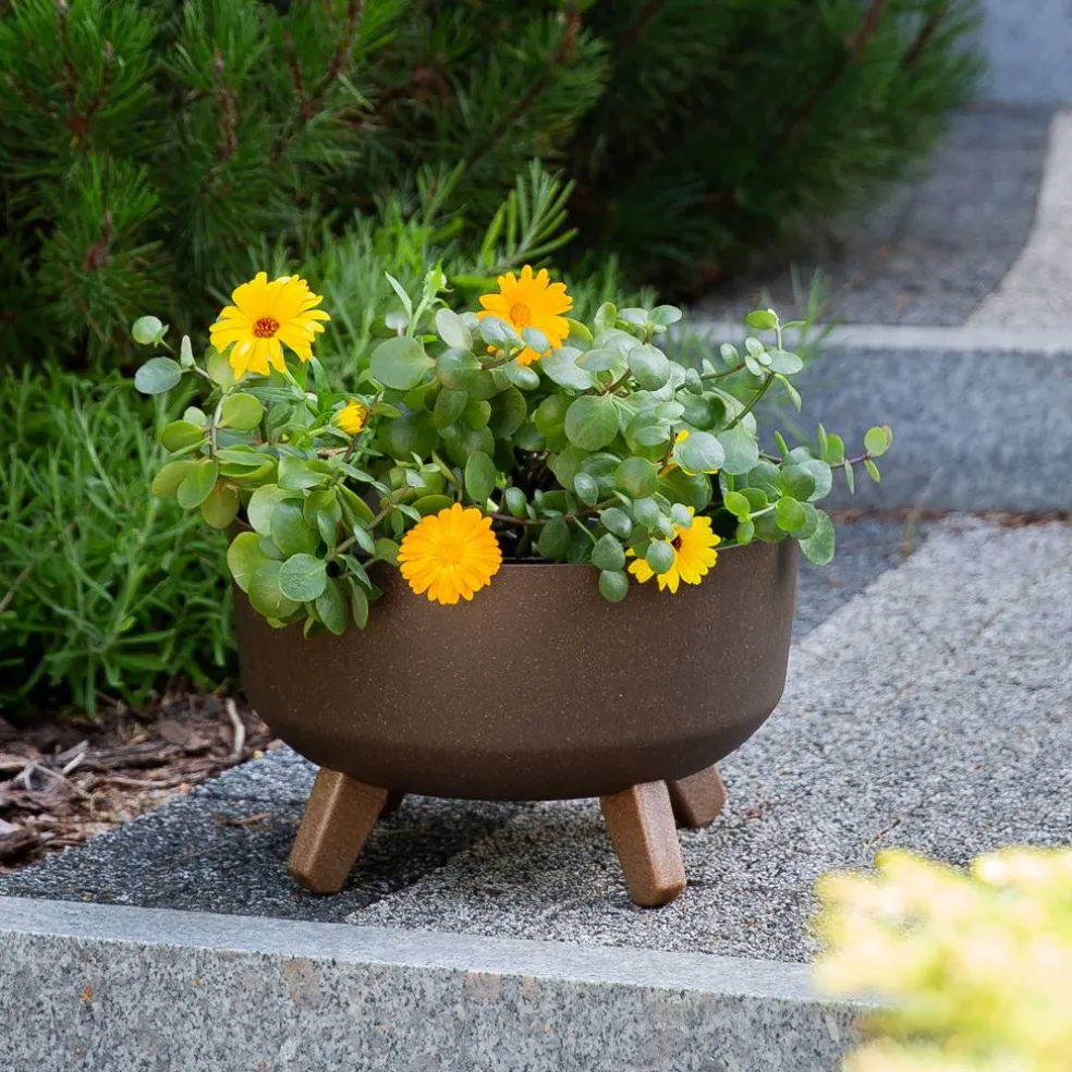 Donica ogrodowa Gracia Low ECO Wood 28,5 x 18 cm PROSPERPLAST