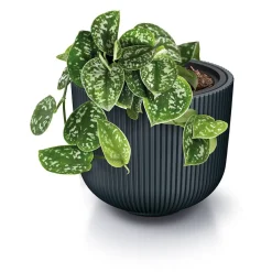 Doniczka z wkładem Milly 30 x 27 cm PROSPERPLAST