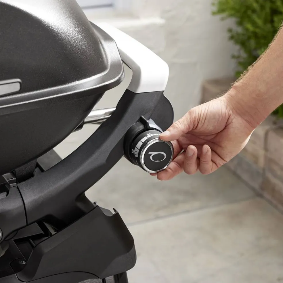 Grill gazowy Q 2200N ze stojakiem WEBER