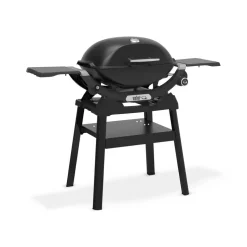 Grill gazowy Q 2200N ze stojakiem WEBER