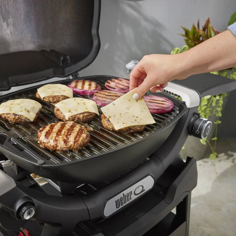 Grill gazowy Q 2200N ze stojakiem WEBER