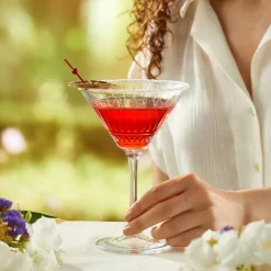 Komplet 4 kieliszków do martini Elysia 220 ml PASABAHCE
