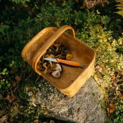 Nóż do grzybów ze szczoteczką FISKARS