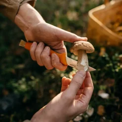 Nóż do grzybów ze szczoteczką FISKARS