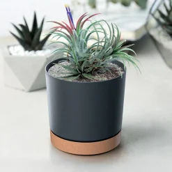 Osłonka na kwiaty Tubo PM ECO 18 cm PROSPERPLAST