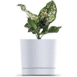 Osłonka na kwiaty Tubo P 20 x 19,5 cm PROSPERPLAST