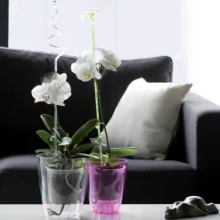 Osłonka na storczyka Coubi 16 cm PROSPERPLAST