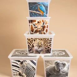 Pojemnik do przechowywania Box Deco Zwierzęta 30 l BRANQ