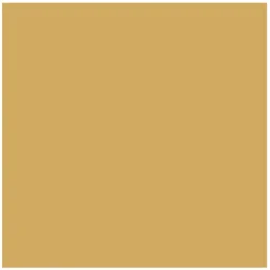 Serwetki papierowe Mono Gold 33 cm x 33 cm 20 szt. PAW