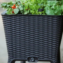 Warzywniak na nogach Easy Grow KETER